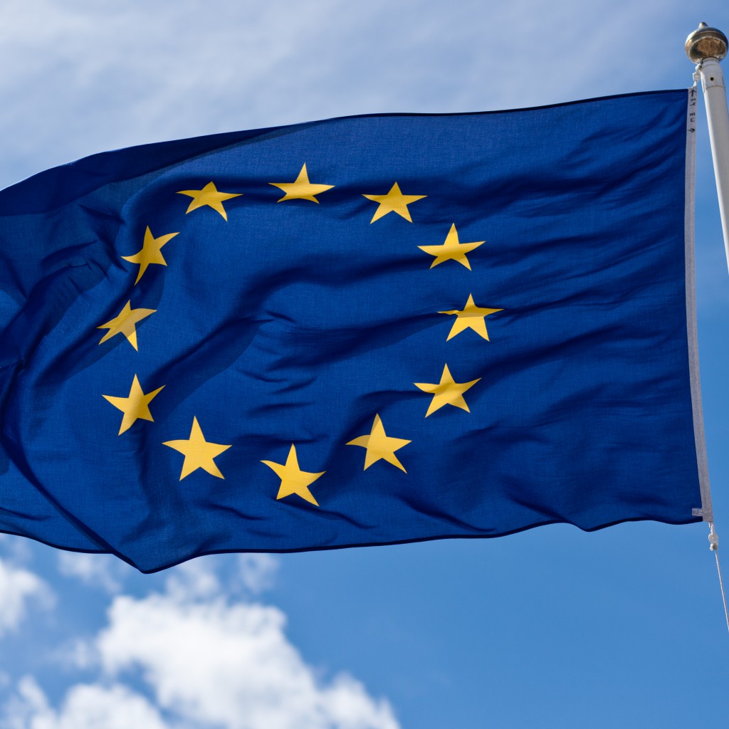 European Union Flag